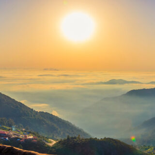 ¿Qué es la vitamina D? 10 GrupoFarma Ecuador Blog Vitamina D 320x320 1-grupofarmadelecuador